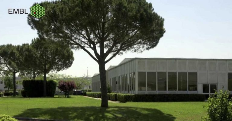 European Molecular Biology Laboratory